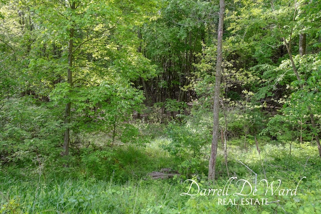 8690/8680 Greeley Ct NE, Rockford, MI 49341 - photo 18