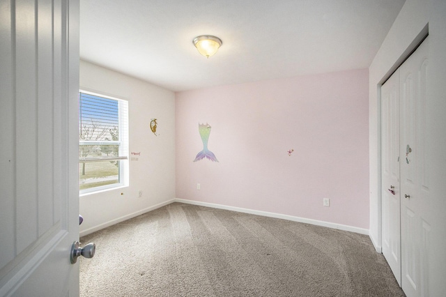 interior space featuring carpet floors and a closet