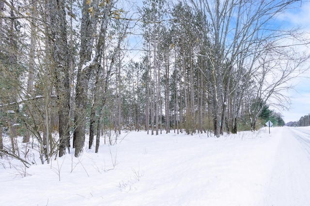 Listing photo 2 for V/L W 8 Mile Rd, Irons MI 49644