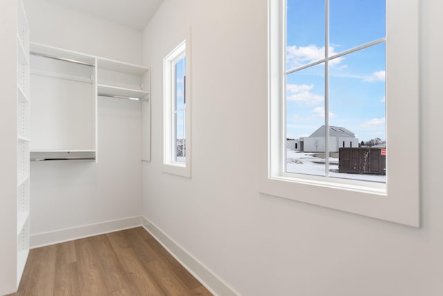 walk in closet with wood-type flooring