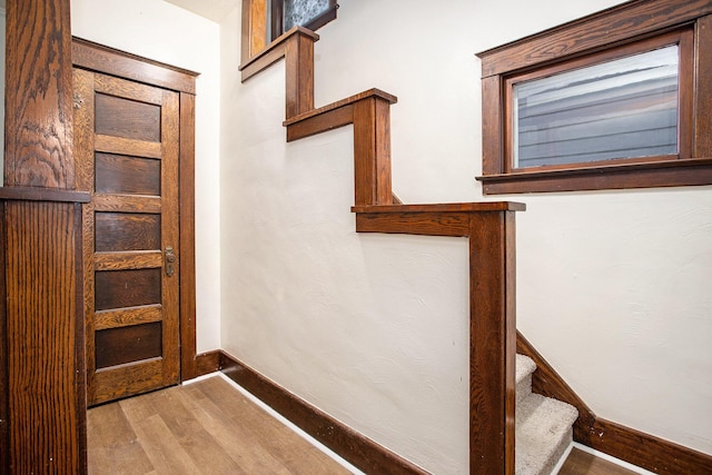 staircase with hardwood / wood-style flooring