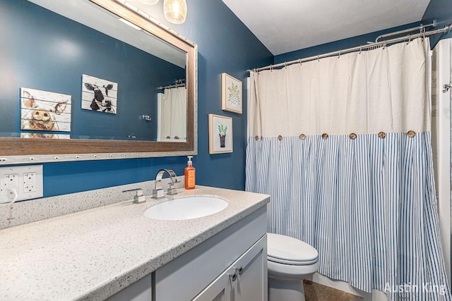 bathroom with toilet and vanity