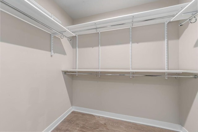 spacious closet featuring hardwood / wood-style flooring