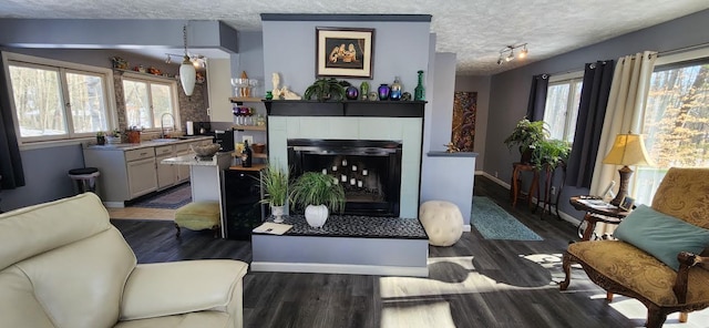 living room with a fireplace, sink, dark hardwood / wood-style flooring, track lighting, and a textured ceiling