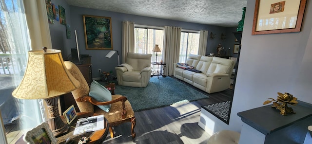 living room with wood-type flooring and a textured ceiling