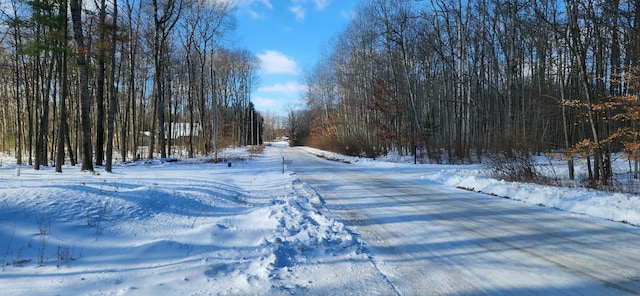 view of road