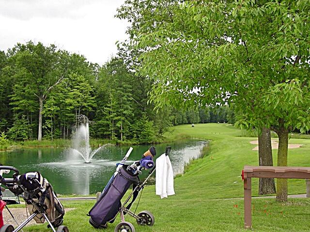 view of property's community with a water view and a yard