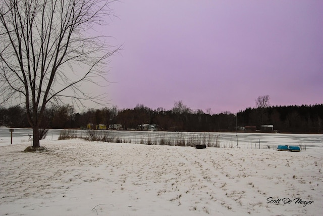 view of snowy yard