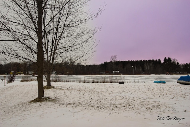 view of snowy yard