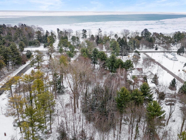 snowy aerial view with a water view