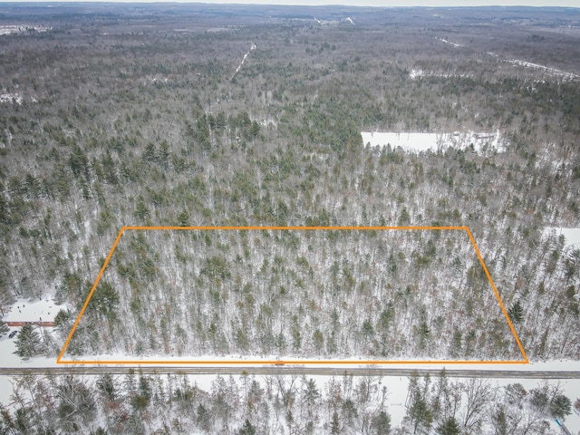 V/L Nelson Rd, Idlewild MI, 49642 land for sale