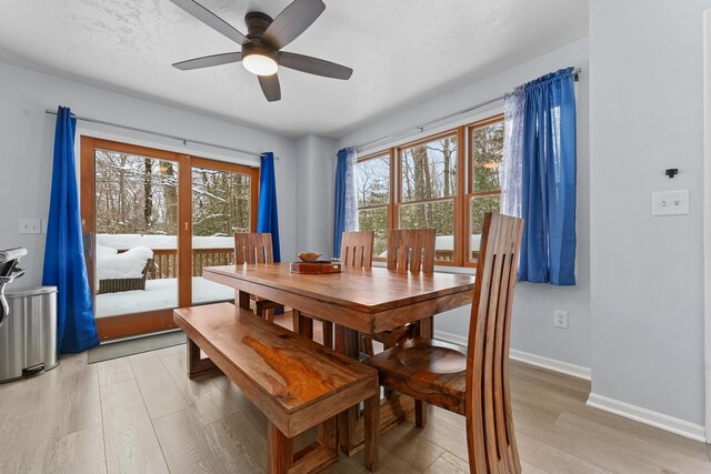 dining space featuring ceiling fan, plenty of natural light, and light hardwood / wood-style floors