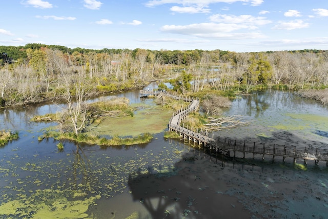bird's eye view with a water view and a wooded view
