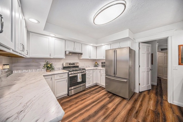 kitchen featuring light stone countertops, stainless steel appliances, decorative backsplash, dark wood-type flooring, and under cabinet range hood