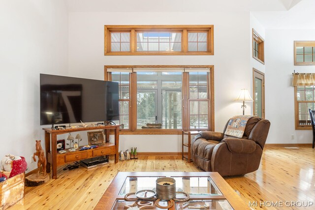 living room featuring hardwood / wood-style flooring and a towering ceiling