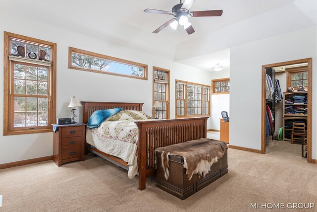 carpeted bedroom with ceiling fan, a closet, a spacious closet, and multiple windows