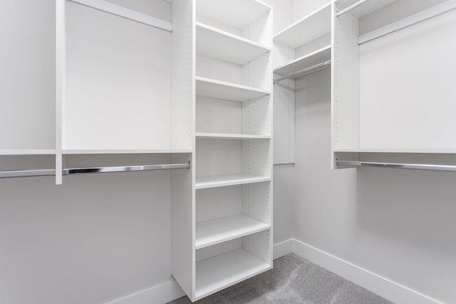 spacious closet featuring carpet