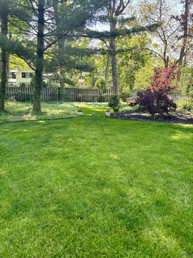 view of yard with fence