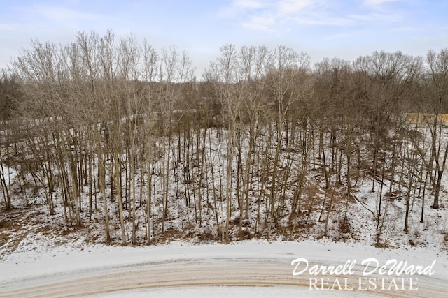 Listing photo 2 for V/L N Ridge Ct, Middleville MI 49333