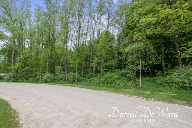 V/L N Ridge Ct, Middleville, MI 49333