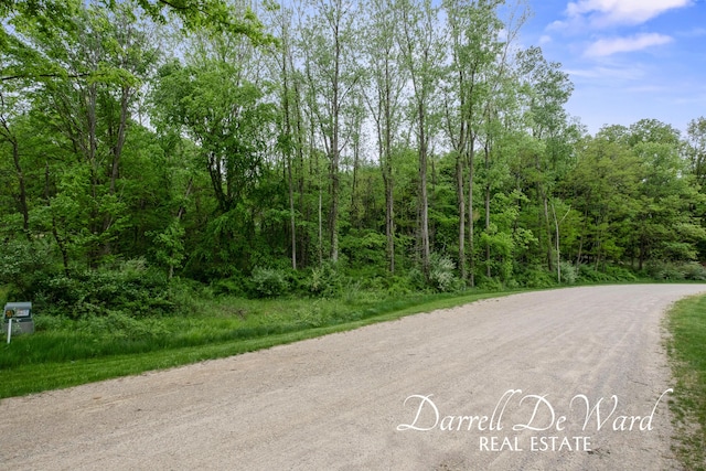V/L N Ridge Ct, Middleville, MI 49333