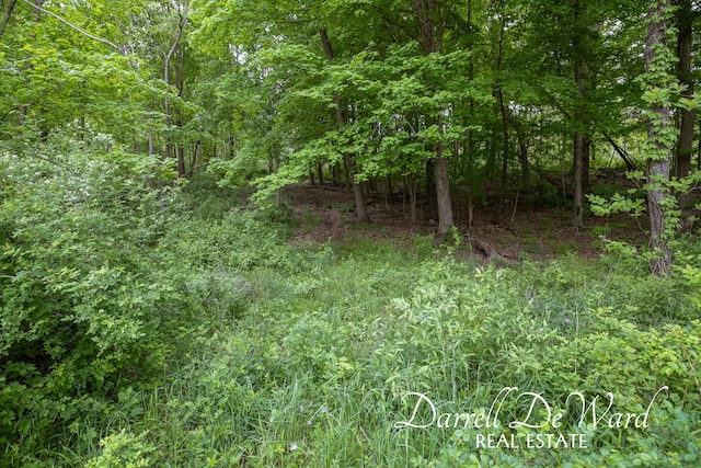 V/L N Ridge Ct, Middleville, MI 49333
