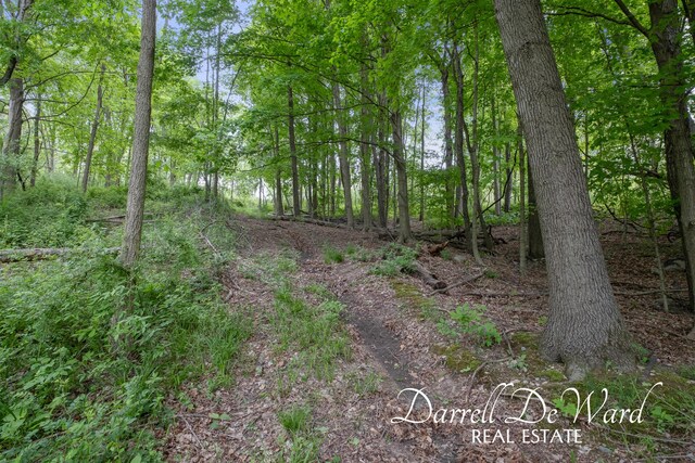 V/L N Ridge Ct, Middleville, MI 49333