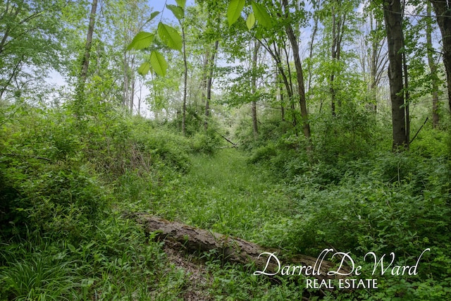V/L N Ridge Ct, Middleville, MI 49333