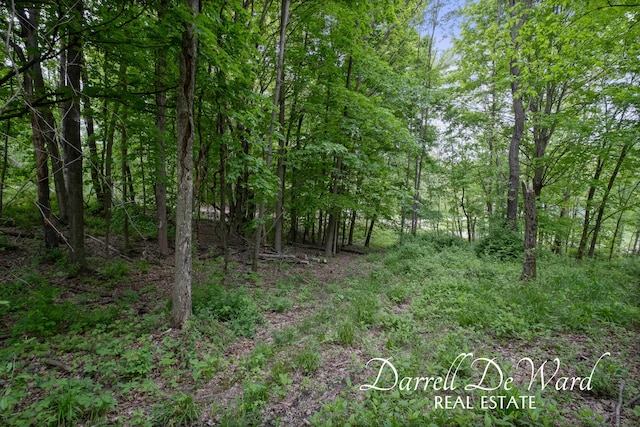 V/L N Ridge Ct, Middleville, MI 49333