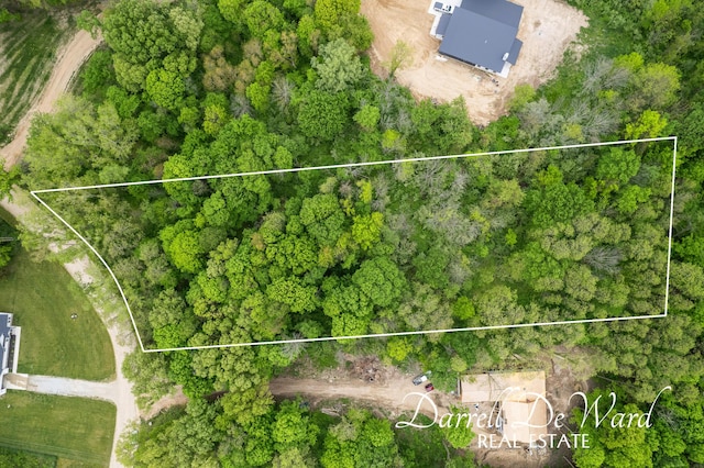 V/L N Ridge Ct, Middleville, MI 49333