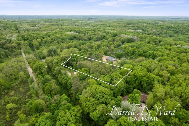 V/L N Ridge Ct, Middleville, MI 49333