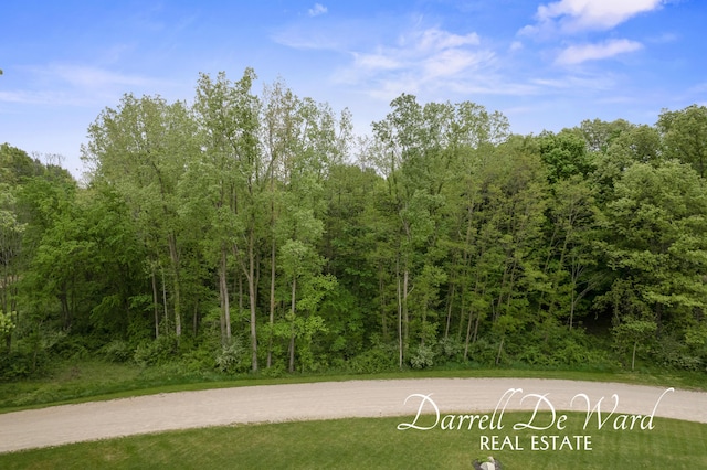 V/L N Ridge Ct, Middleville, MI 49333