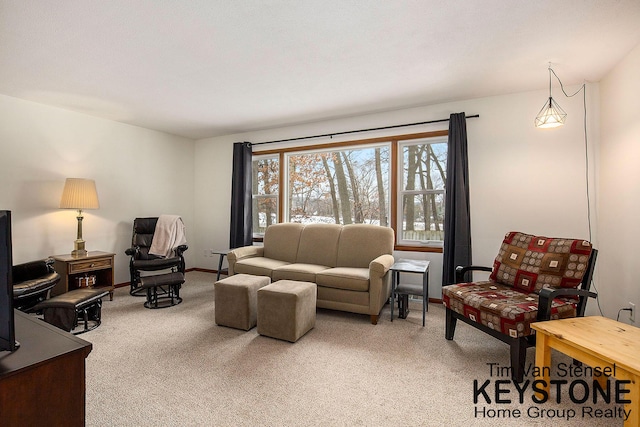 living room featuring carpet flooring