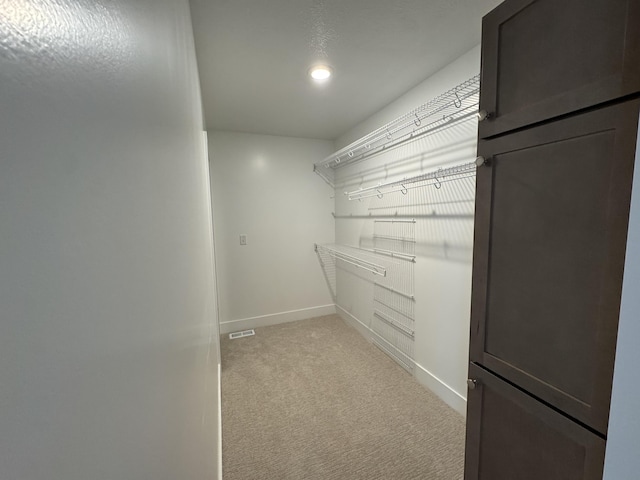 275 Hickory Valley Dr, Kalamazoo, MI 49009 - walk in closet featuring light colored carpet