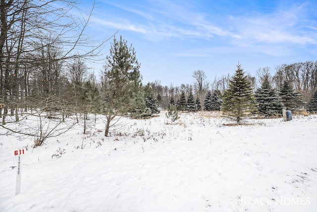 6135 Fawn Lake Dr, Stanwood MI, 49346 land for sale