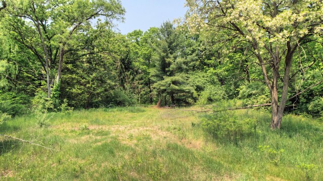 8232 Ramsdell Dr NE, Rockford, MI 49341 - photo 4