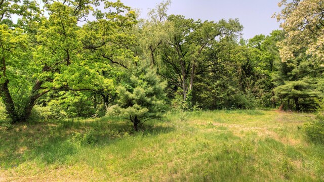 8232 Ramsdell Dr NE, Rockford, MI 49341 - photo 11