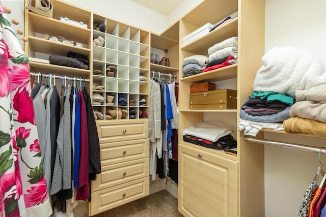 spacious closet with carpet