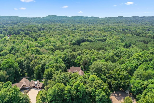 drone / aerial view with a mountain view