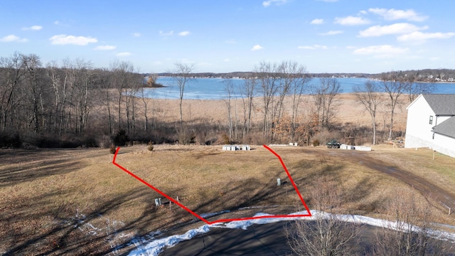 154 Bloomfield Blvd, Brooklyn MI, 49230 land for sale