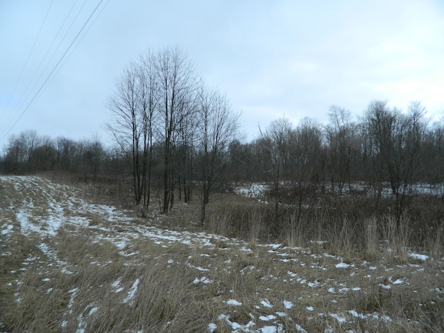 Mckenzie St, Cassopolis MI, 49031 land for sale