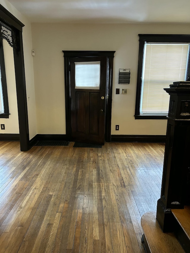 foyer featuring wood-type flooring