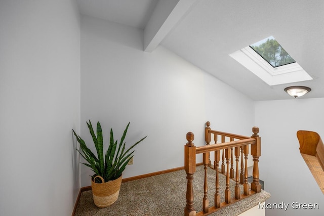 366 E Beech St NE, Cedar Springs, MI 49319 - stairway featuring a skylight and carpet floors