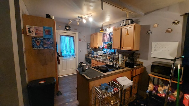 kitchen with dark hardwood / wood-style flooring, sink, track lighting, and black appliances