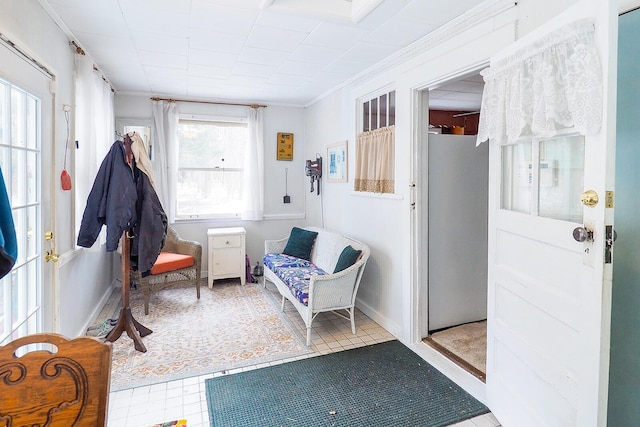 living area featuring crown molding