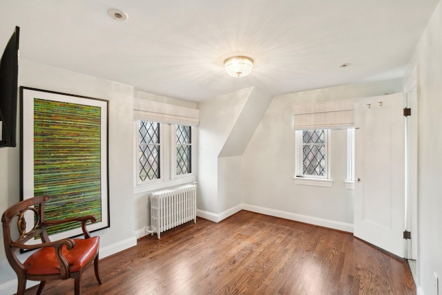 additional living space with a wealth of natural light, radiator, wood finished floors, and baseboards
