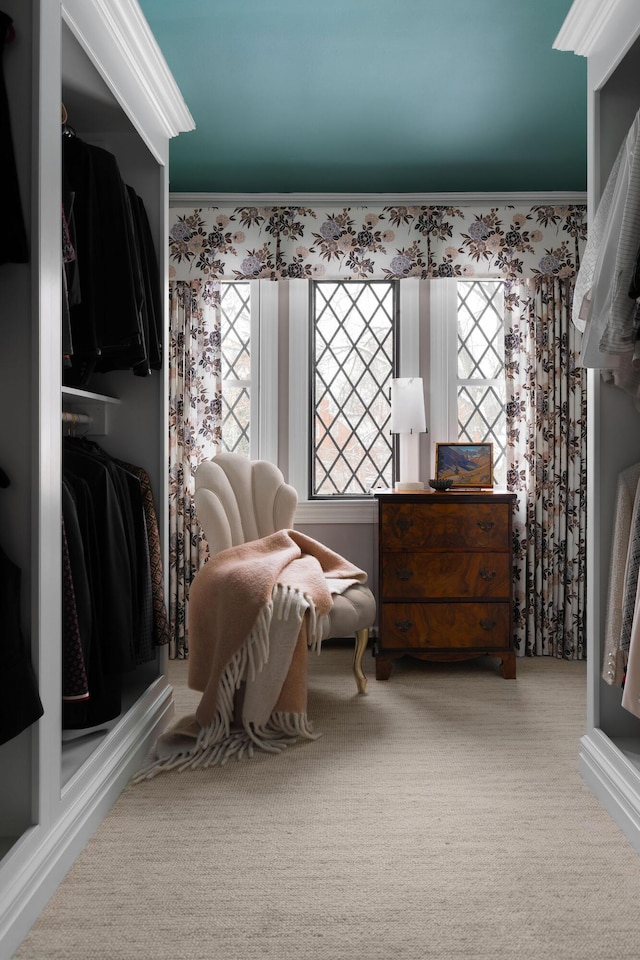 bedroom featuring crown molding and carpet