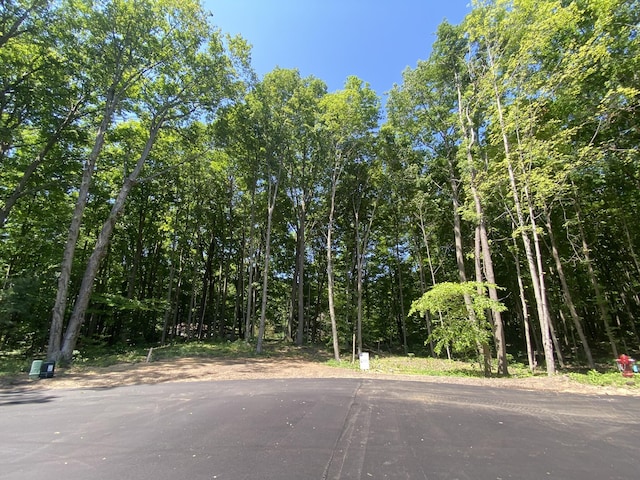 14606 Crest View Ct, South Haven, MI 49090 - photo 1