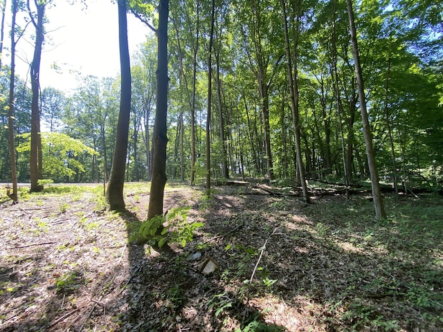 14606 Crest View Ct, South Haven, MI 49090 - photo 3
