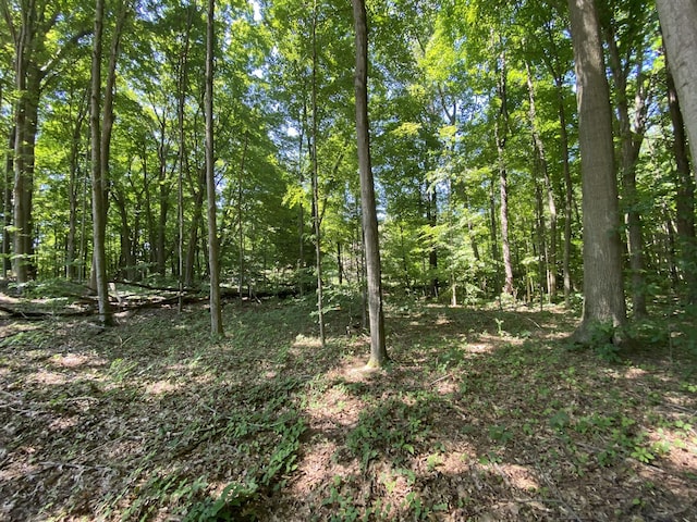 14606 Crest View Ct, South Haven, MI 49090 - photo 2